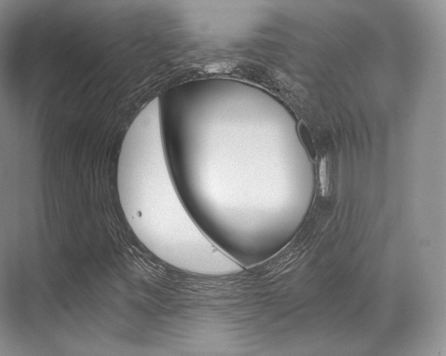 X0000073901443200608110923