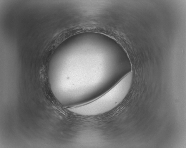 X0000073901445200608110923