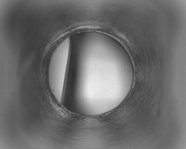 X0000073901448200608110923