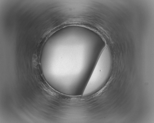 X0000073901449200608110923