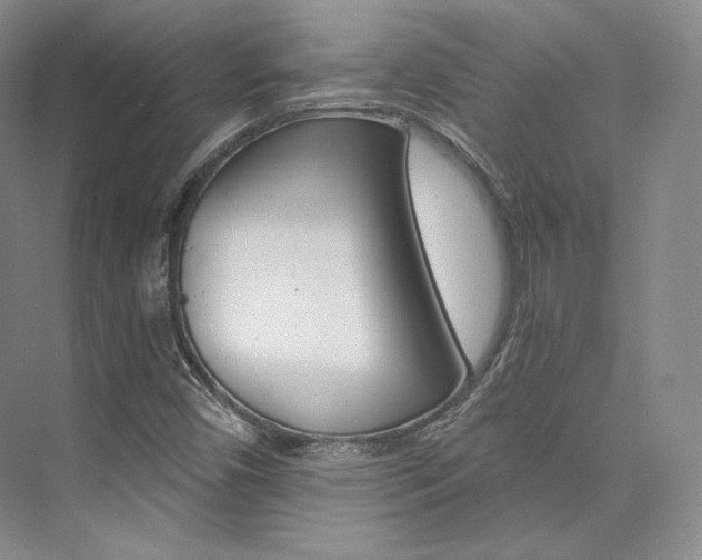 X0000073901450200608110923