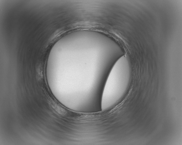 X0000073901451200608110923