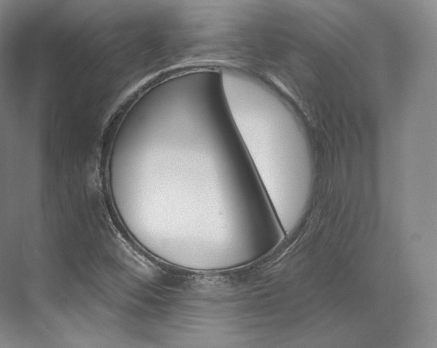 X0000073901452200608110923