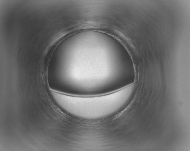X0000073901453200608110923