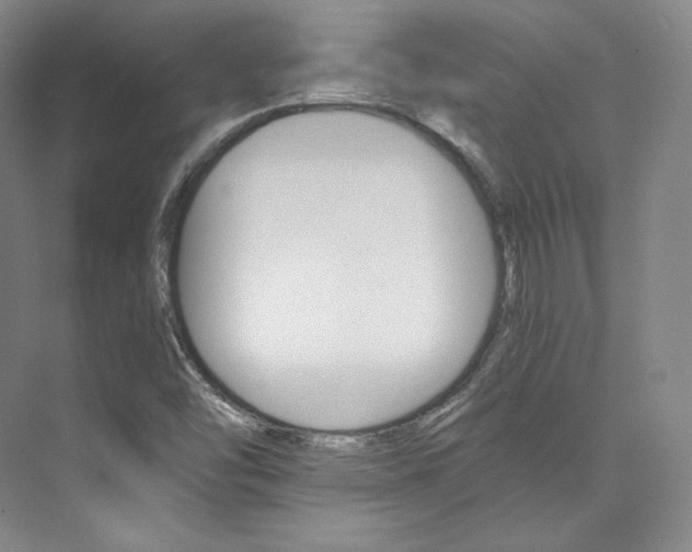 X0000073901454200608110923