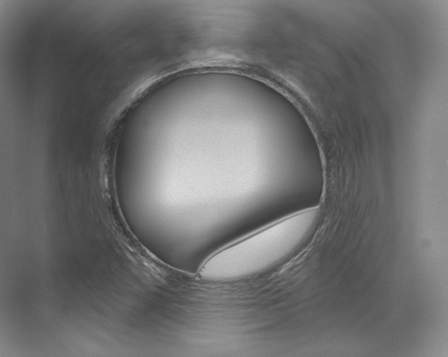 X0000073901455200608110923