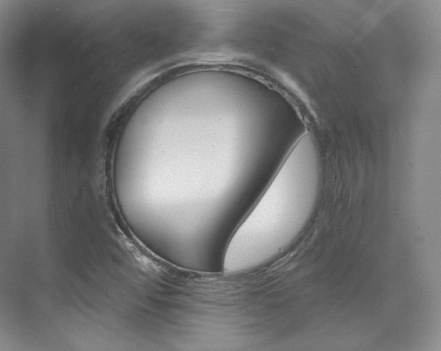 X0000073901456200608110923