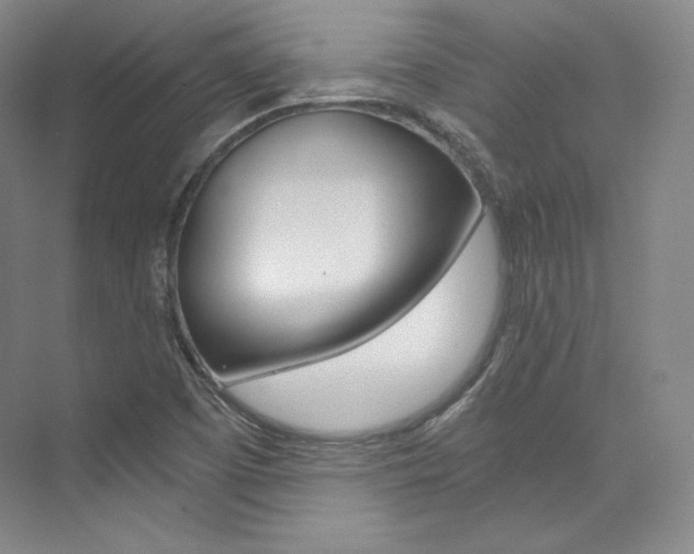 X0000073901457200608110923