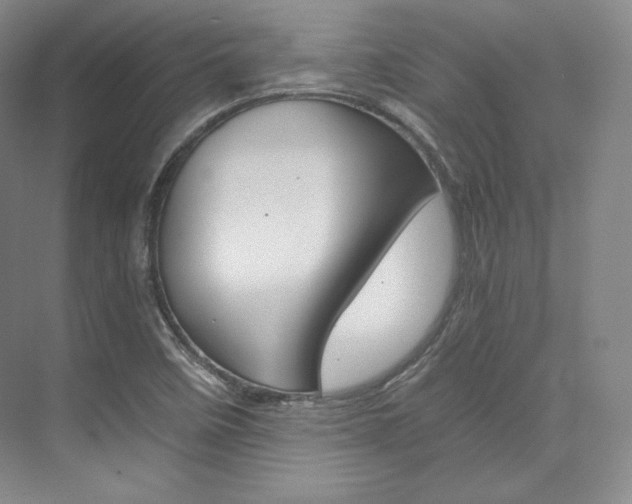 X0000073901458200608110923