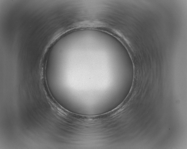 X0000073901459200608110923