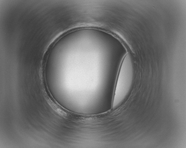 X0000073901460200608110923