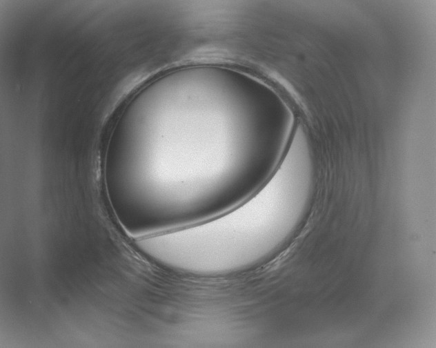 X0000073901461200608110923