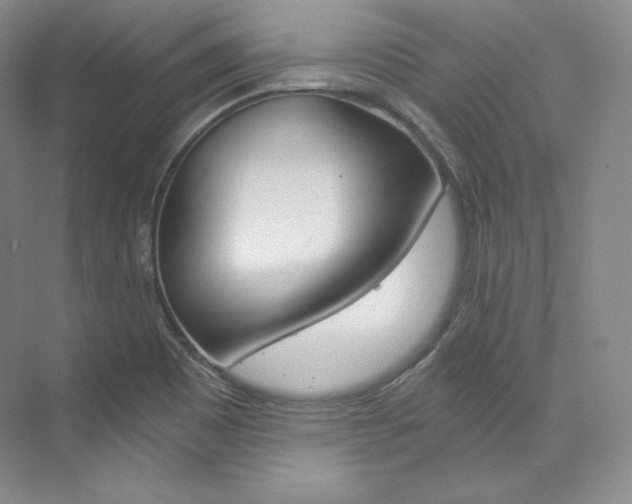 X0000073901465200608110923