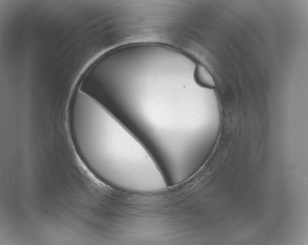 X0000073901468200608110923