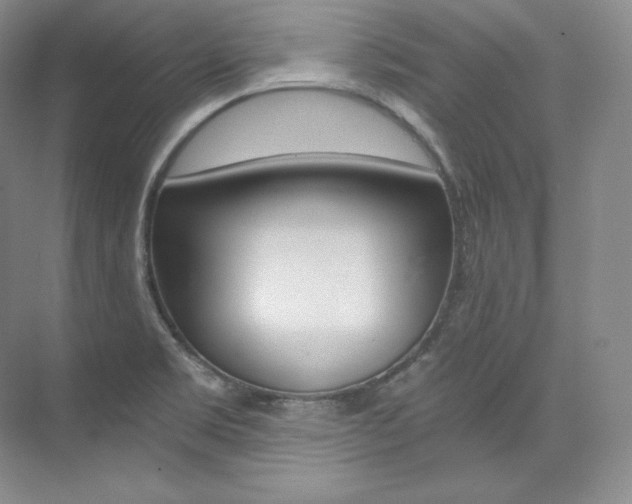 X0000073901469200608110923
