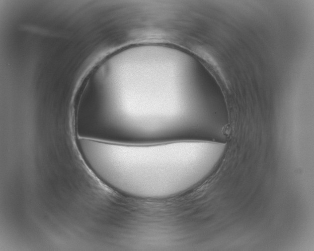 X0000073901472200608110923