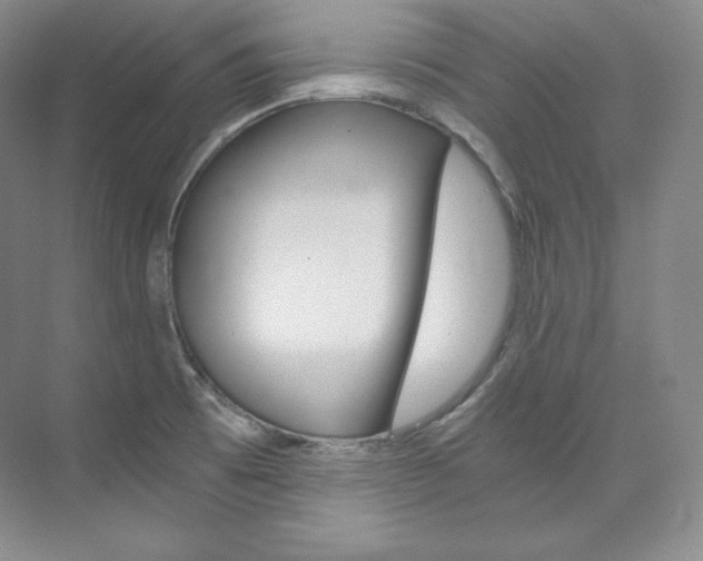 X0000073901473200608110923