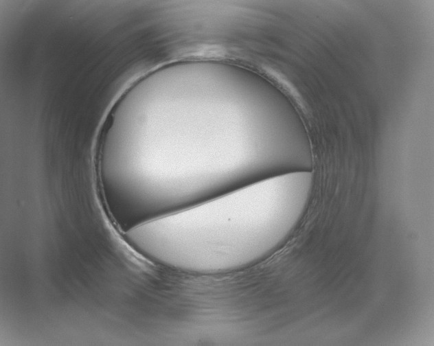 X0000073901475200608110923