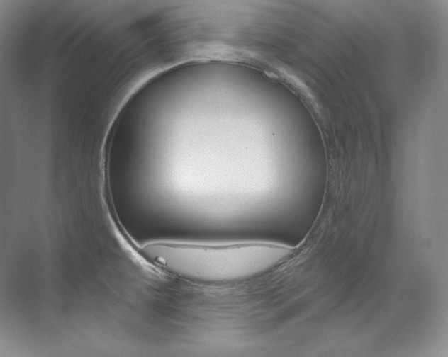 X0000073901479200608110923