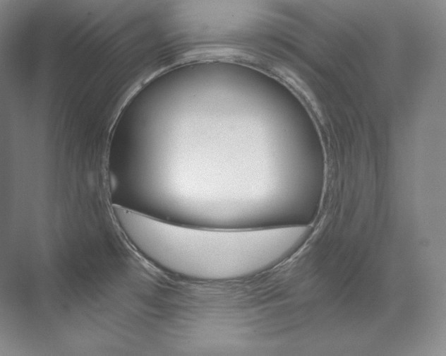 X0000073901481200608110923