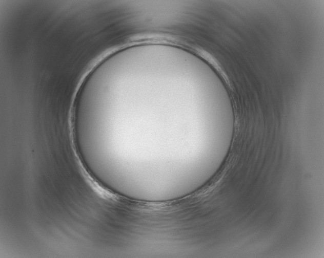 X0000073901482200608110923
