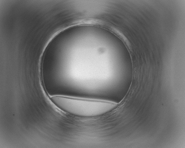 X0000073901483200608110923