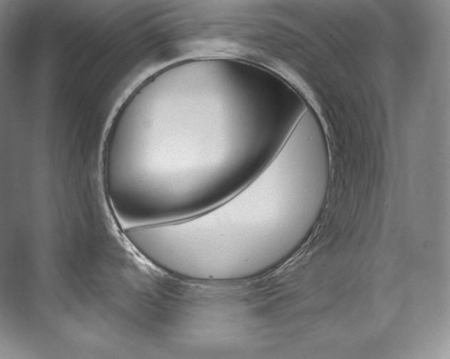X0000073901488200608110922