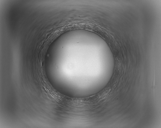X0000073901489200608110922