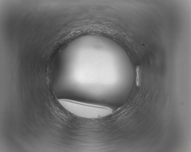 X0000073901491200608110922