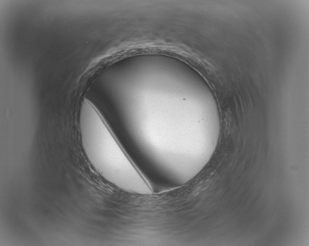 X0000073901494200608110922