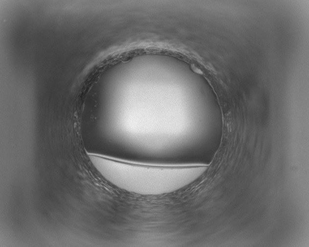 X0000073901495200608110922