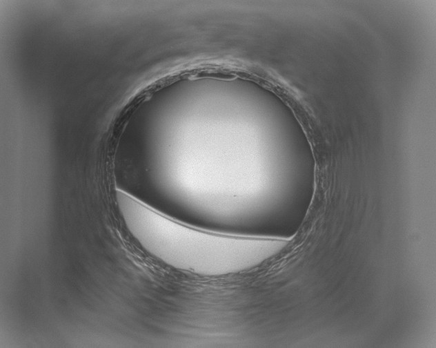 X0000073901496200608110922