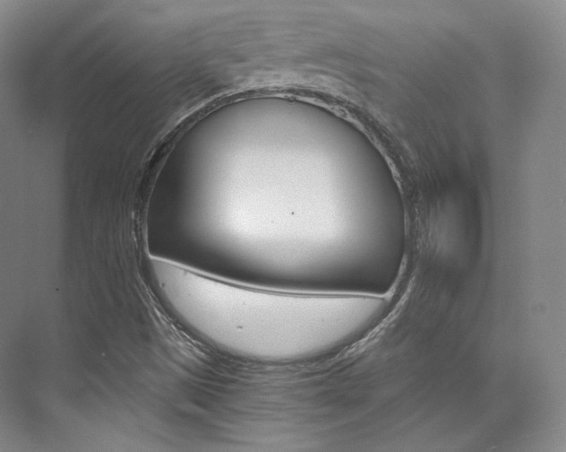 X0000073901497200608110922