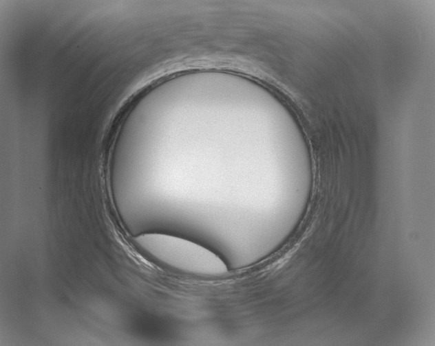 X0000073901498200608110922