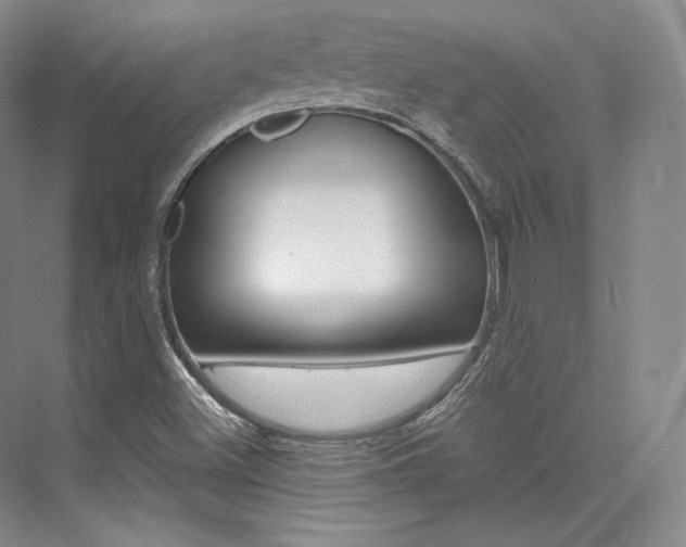 X0000073901500200608110922