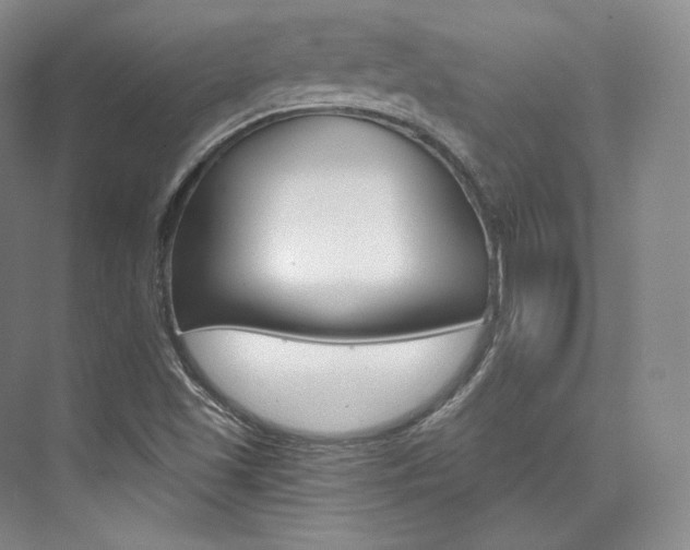 X0000073901501200608110922