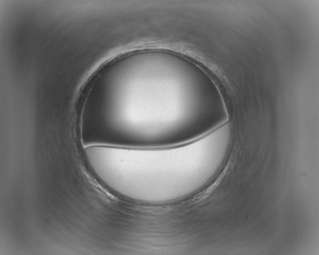 X0000073901502200608110922