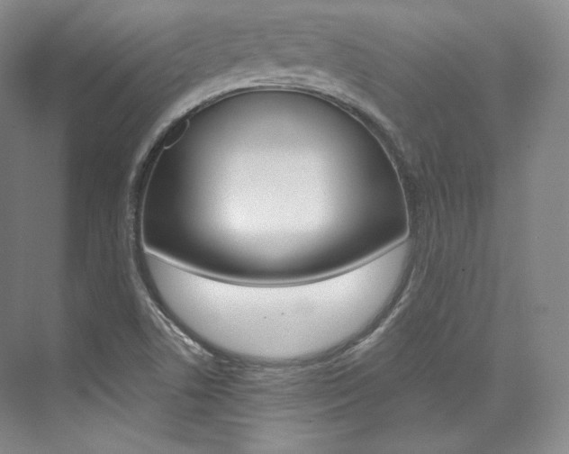 X0000073901506200608110922