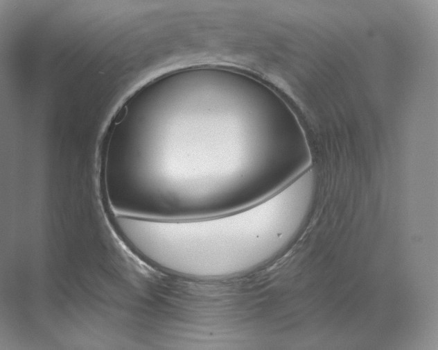 X0000073901508200608110922