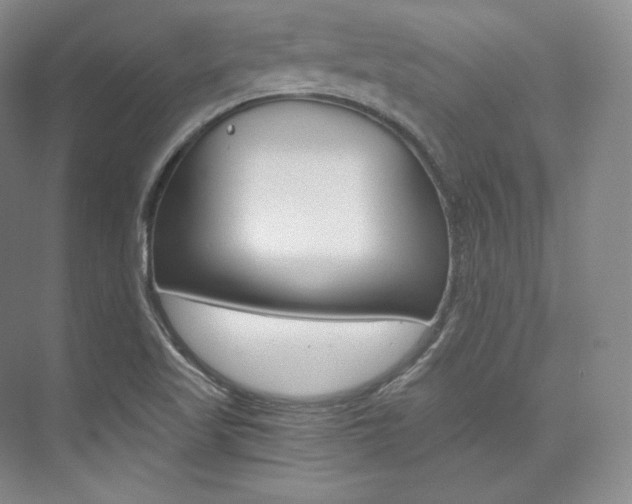 X0000073901509200608110922