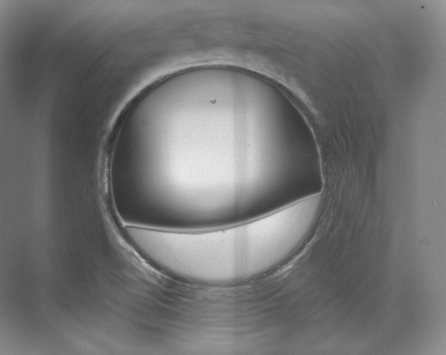 X0000073901510200608110922
