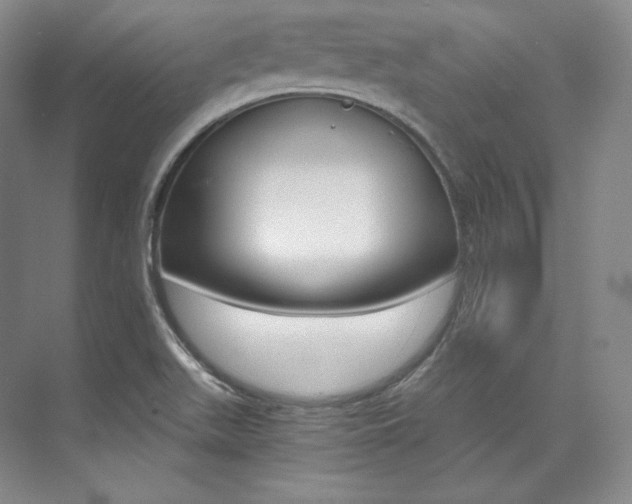 X0000073901511200608110922