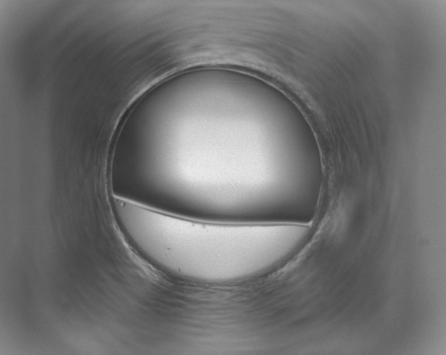 X0000073901513200608110922