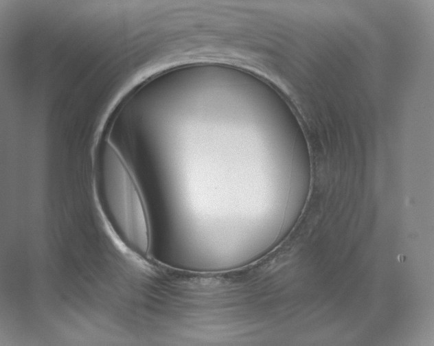X0000073901515200608110922