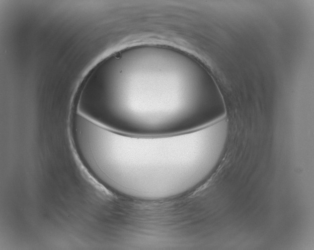 X0000073901518200608110922