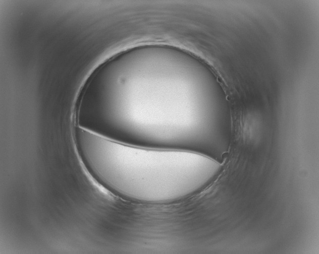 X0000073901519200608110922