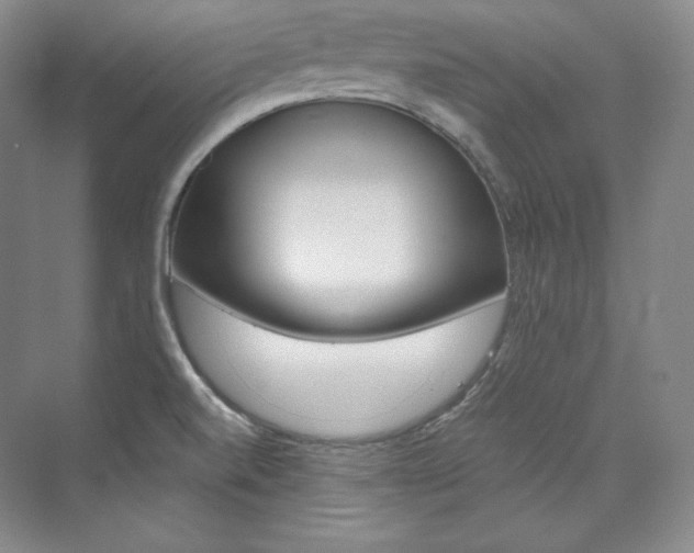X0000073901520200608110922