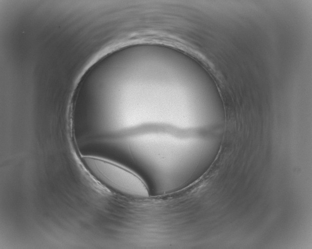 X0000073901522200608110922