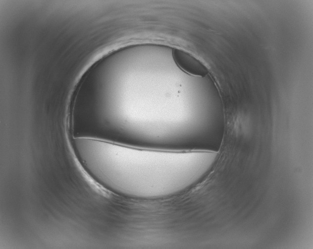 X0000073901523200608110922