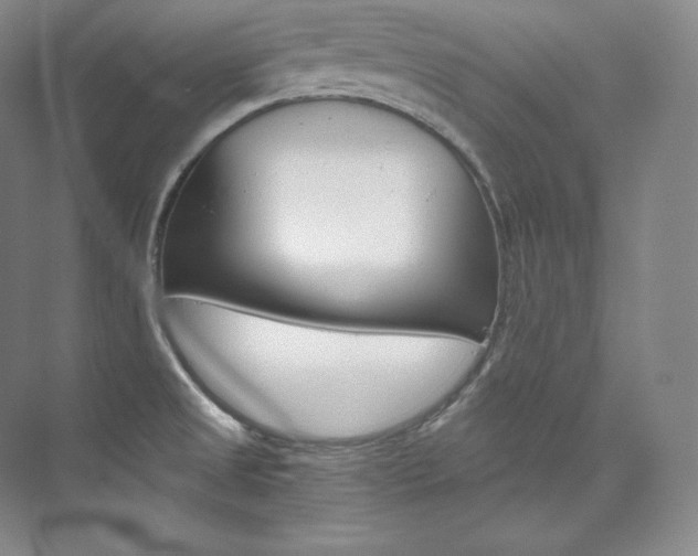 X0000073901525200608110922